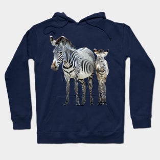 Zebra - Mama with offspring in Kenya / Africa Hoodie